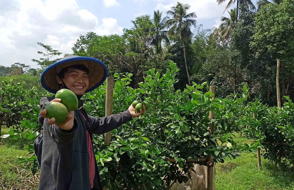Gerakkan Ekonomi dari Desa dengan Membuka Peluang Kerja