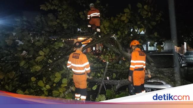 Hujan Deras-Angin Kencang di Bogor Bikin Pohon Tumbang hingga Timpa Mobil
